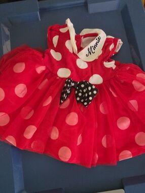 Disney Minnie Mouse Dreds